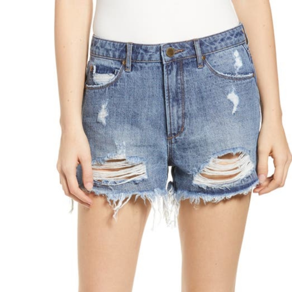 Articles of Society > Meredith Ripped Denim shorts